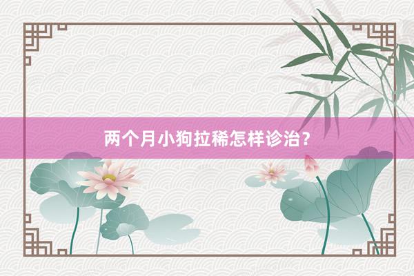 两个月小狗拉稀怎样诊治？